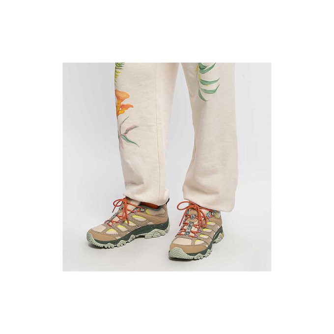 Moab 3 X Parks-Projekt