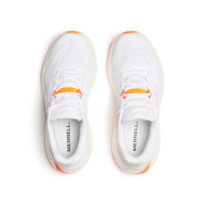 ProMorph für Damen ProMorph für Damen